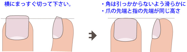 正しい爪の切り方イメージ